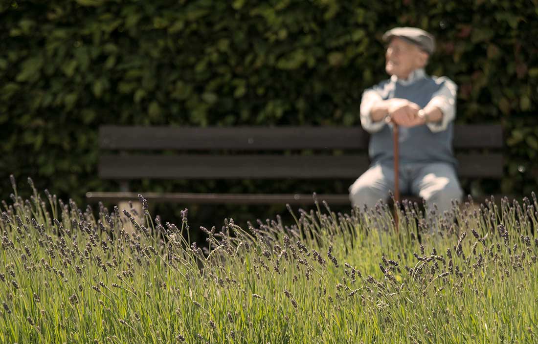 Image of senior sitting on park bench