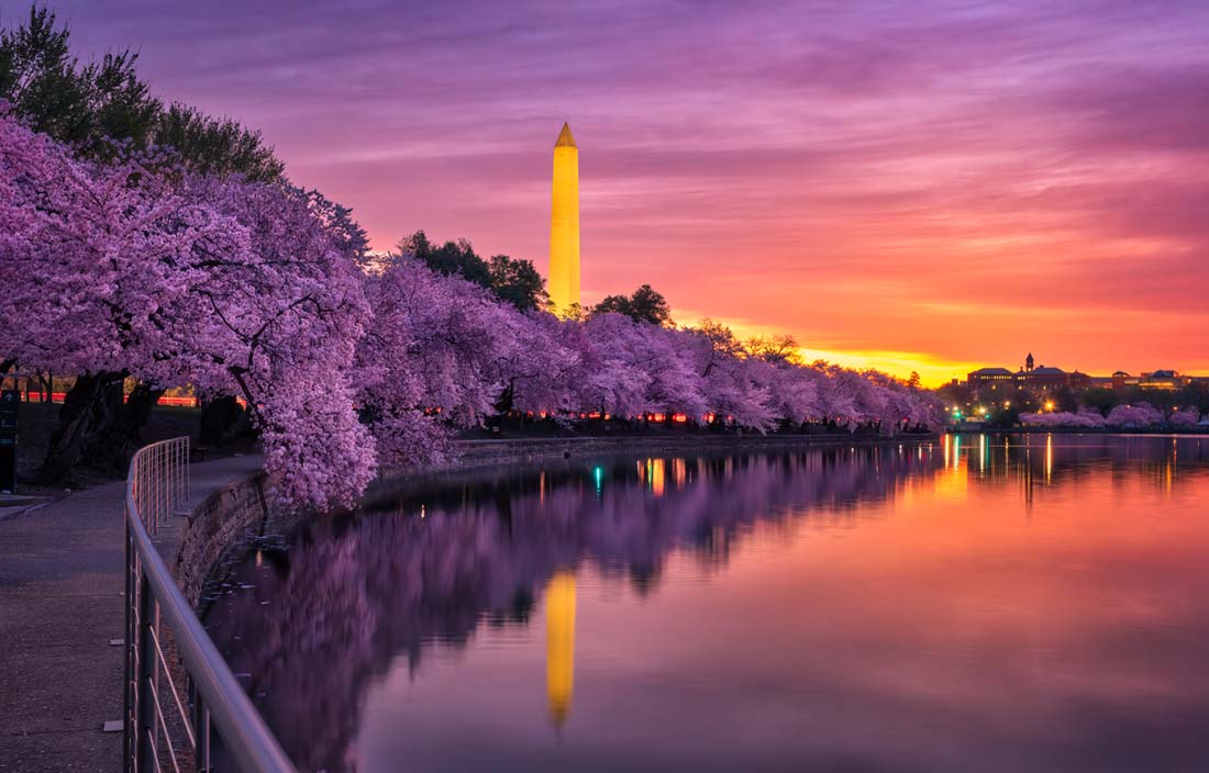 View of Washington D.C. at sunrise.