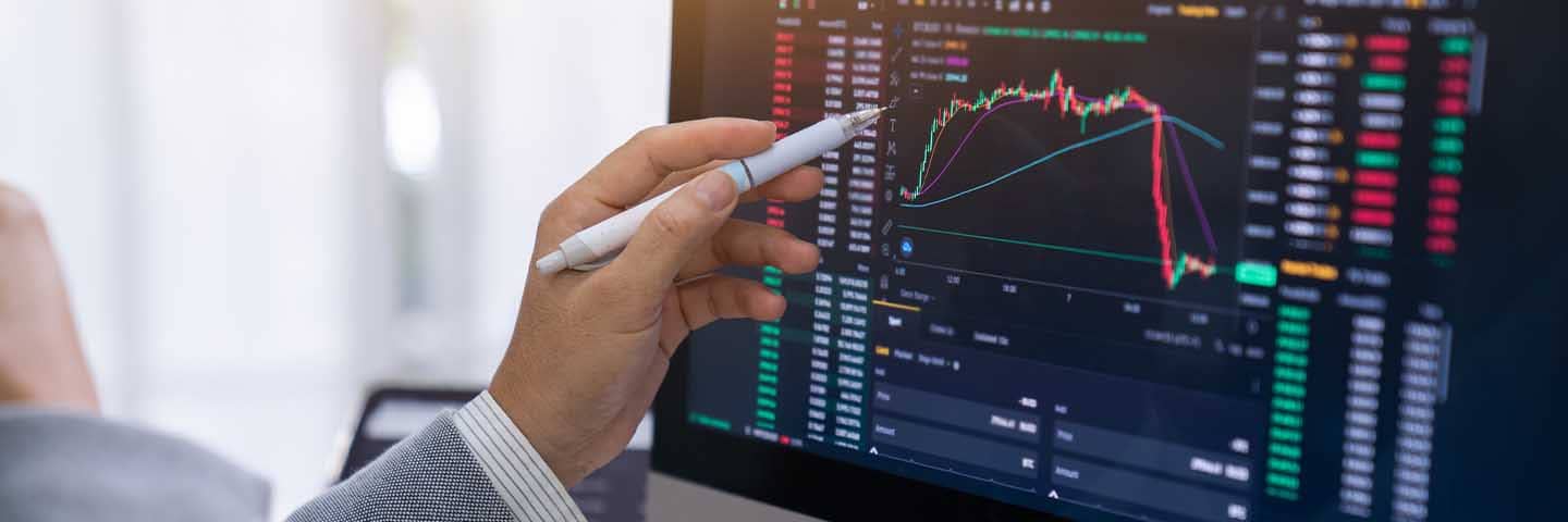 Person reviewing a financial graph on their computer.
