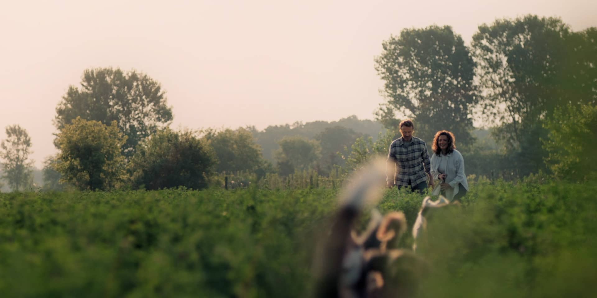 Couple walking in a field with their rescue dogs.
