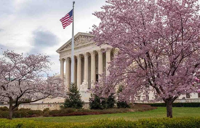 Tree in bloom in front of a U.S. Congress building.