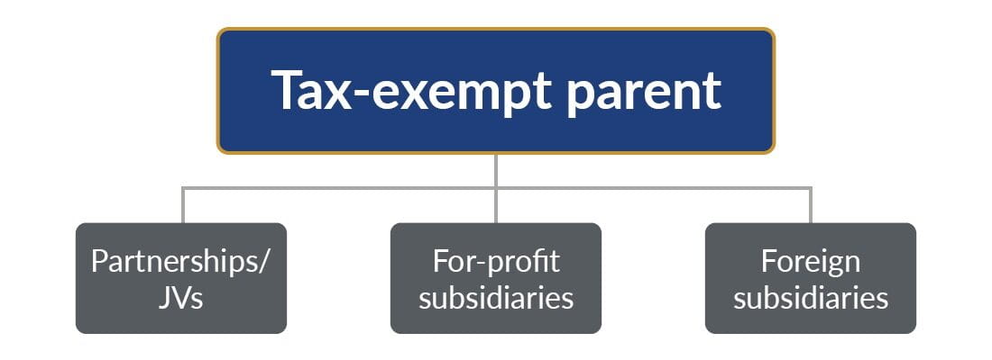 Graphic showcasing sections of the tax-exempt parent