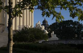 Government building and a nearby tree.