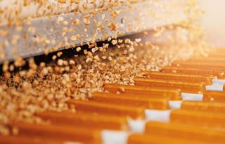 Food manufacturing belt.