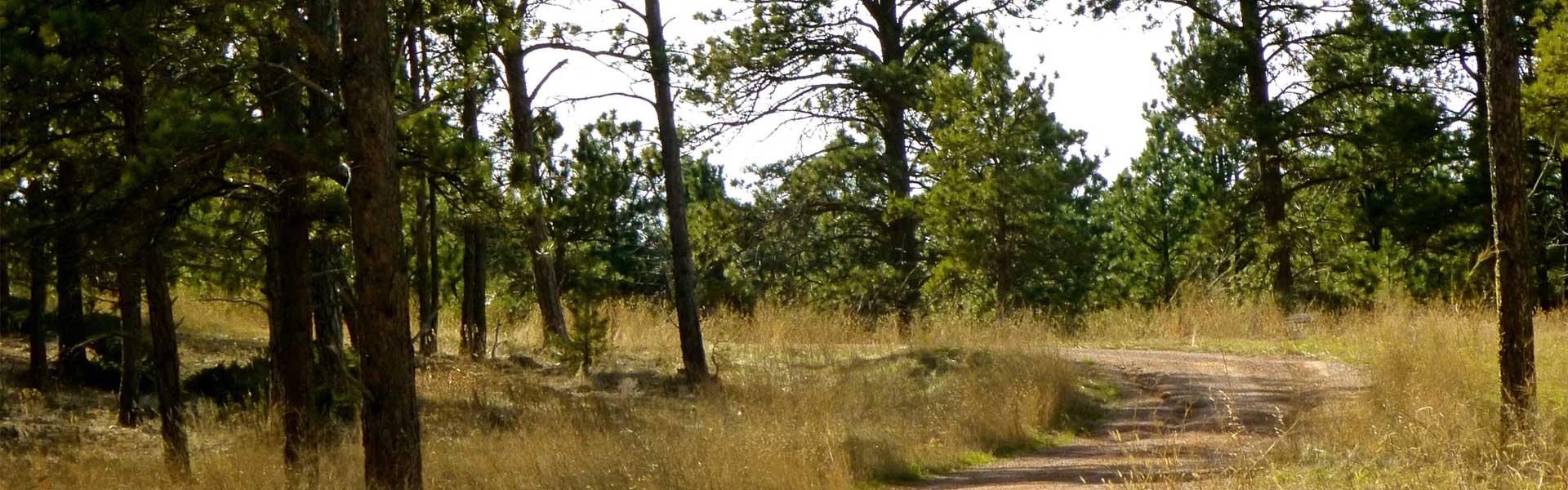 Benedictine Sisters of St. Martin Monestary walking path