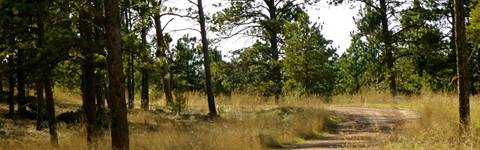 Benedictine Sisters of St. Martin Monestary walking path