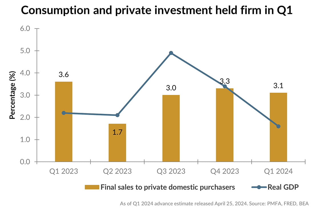 Chart depicting consumption and private investment held firms in Q1